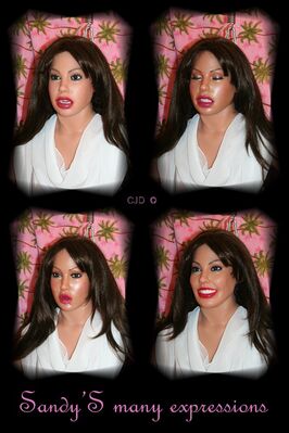 Sandy_s_many_expressions.jpg