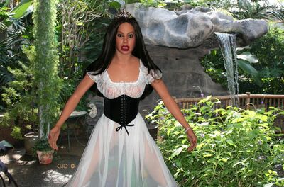 Fair2520maiden.jpg