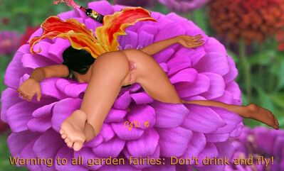 Sandy_lilly_4s.jpg