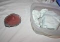 IMG_1069sJPG.jpg