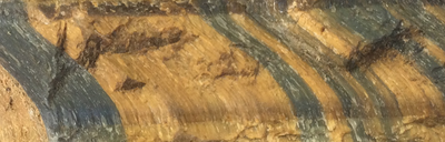 TigerEye
