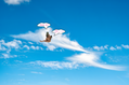 Filename=14_sky-_cloud_ride_1_upscayl_1x_upscayl-standard-4x.png
Filesize=1151KiB
Dimensions=1280x853
Date added=May 31, 2025 14_sky-_cloud_ride_1_upscayl_1x_upscayl-standard-4x.png