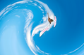 Filename=15_sky-_cloud_ride_1_upscayl_1x_upscayl-standard-4x.png
Filesize=1188KiB
Dimensions=1280x853
Date added=May 31, 2025 15_sky-_cloud_ride_1_upscayl_1x_upscayl-standard-4x.png