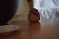 CJH_22-2__16.jpg