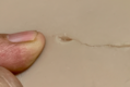 Screen_Shot_2021-11-20_at_12_29_19_PM.png